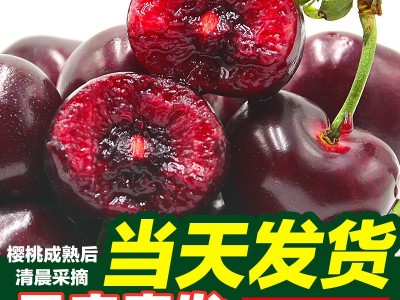 顺丰空运四川汉源车厘子大樱桃四川汉源黑珍珠车厘子非美早樱桃图1