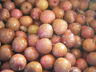 冷冻水果馅料餐饮方便食品速冻厂家冷冻荔枝冷冻荔枝粒速冻荔枝图1