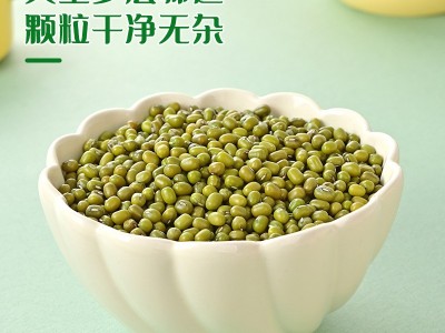 三顷粮 有机绿豆 400克真空袋装 五谷杂粮 粗粮 有机食品厂家批发图4