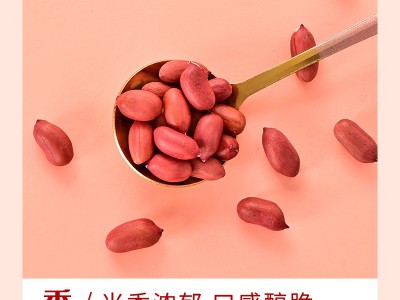 三顷粮 有机花生米红皮花生米 400克桶装 五谷杂粮 粗粮 厂家批发图5