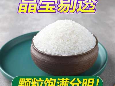 一件代发现货当季东北大米新米10斤群艳寒地长粒香厂家5kg批发图3