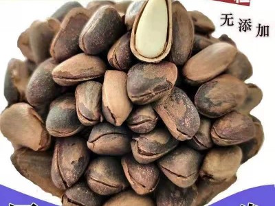新货东北开口松子大颗粒袋装500g新炒松子坚果零食特产批发松子图1