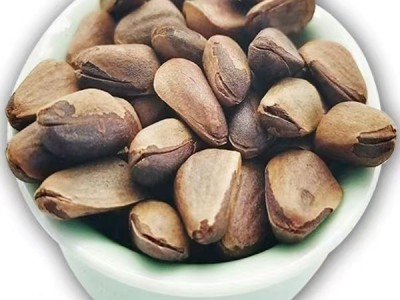 新货东北开口松子大颗粒袋装500g新炒松子坚果零食特产批发松子图4