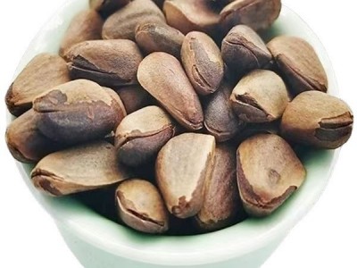 新货东北开口松子大颗粒袋装500g新炒松子坚果零食特产批发松子图5