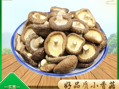 厂家批发小香菇干货 农家煲汤食材 金钱菇香姑餐饮生鲜图1