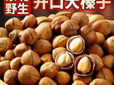 东北特产 榛子 开口榛子 大榛子 铁岭榛子 坚果干货手拍榛子 500g图1