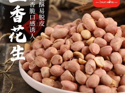 【老乡专属】五香花生米烘烤制作咸香酥脆可口沈阳春红食品厂家图1