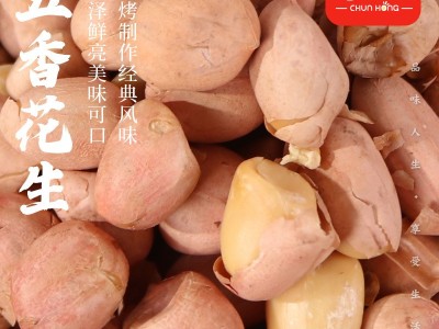【老乡专属】五香花生米烘烤制作咸香酥脆可口沈阳春红食品厂家图2
