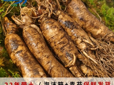 长白山新鲜人参500g装整枝 带土人参东北特产保鲜煲汤泡酒 人参图1