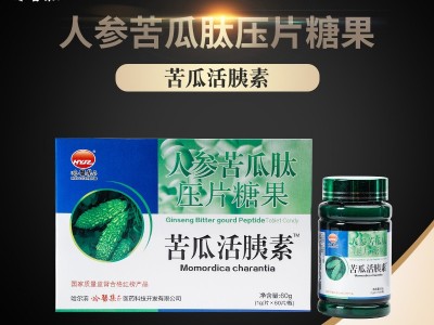 哈医集正人参苦瓜肽苦瓜活胰素压片60g工厂招商批发图1