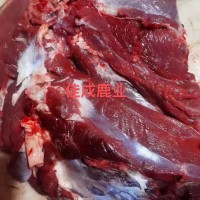 东北特产养殖鲜鹿肉