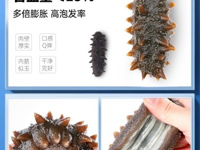 大连海参辽参高刺海参高品质野生刺参礼盒装即食便捷海产品批发图3