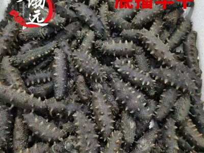 大连底播半干海参底播拉缸盐大连海参半干海参一件代发货图1