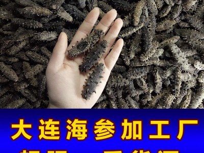 养参人大连纯淡干海参干货批发 干海参水产辽参工厂发货50g图1