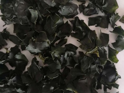 厂家直供方便调味包专用淡干海带片图1