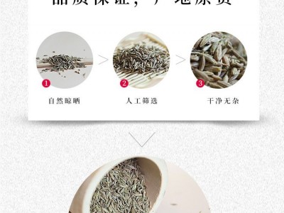 厂家直供一手货源小包装调味品烧烤用调料孜然招代理经销商图2
