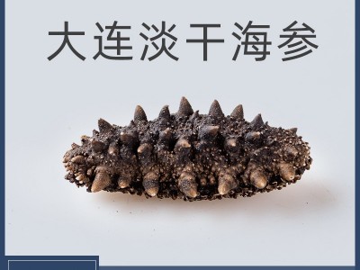 大连淡干海参批发辽参产地直销海参干货大连干海参一件代发图1