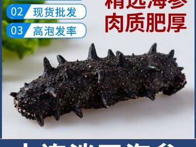 免运费大连淡干海参底播辽刺参5g一只拿样品尝海参干货批发图1