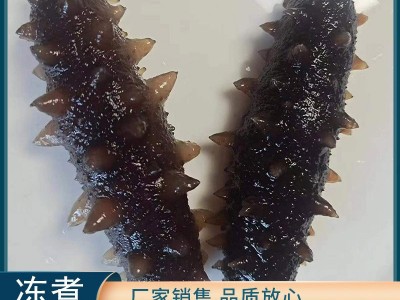 厂家直供现货大连冻煮海参辽参非海参干货刺参大连冻煮即食海参图1