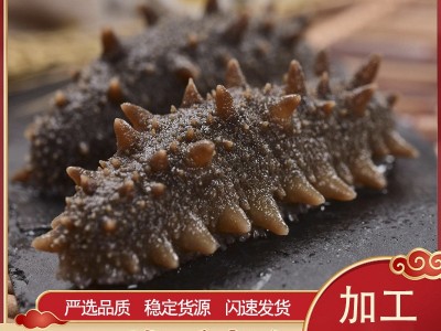 禾夕堂 即食ABC类 大连即食海参500g鲜活辽参刺参礼盒特价批发图1