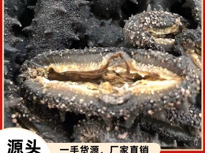 大连淡干海参50g水产海参干货批发食用厂家一手野生辽参礼盒装图1