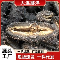 大连淡干海参50g水产海参干货批发食用厂家一手野生辽参礼盒装