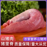 厂家直供阿文特种山猪肉猪里脊现杀冷链运输肉质鲜嫩山猪肉猪里脊