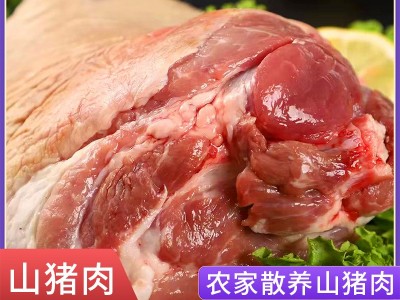 厂家直供阿文特种山猪肉猪肘子现杀冷链运输肉质鲜嫩山猪肉猪肘子图1