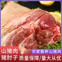 厂家直供阿文特种山猪肉猪肘子现杀冷链运输肉质鲜嫩山猪肉猪肘子