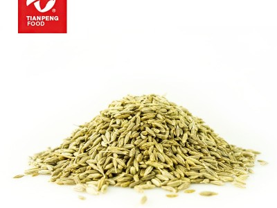 【天鹏 孜然粒30g】大颗粒孜然研磨瓶装 草本烧烤腌制调料图4