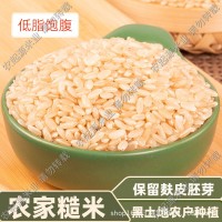 当季新米东北现磨糙米粗粮餐低脂批发厂家直发支持代发糙米饭5斤