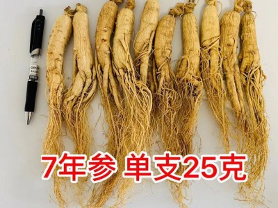 吉林人参 长白山人参 批发 干人参 生晒参 园参 东北特产 白参图4