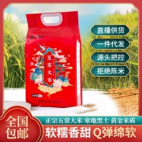 五常大米批发5KG长粒香米10斤装大米有机东北大米农产品大米批发