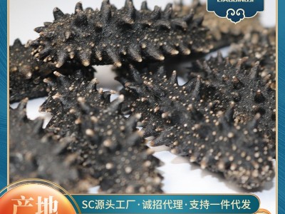 大连干海参 六排刺辽刺参 水产干货 货源稳定供应 产地批发图1