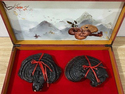 灵芝礼盒 东北特产长白山灵芝 会销礼品跑江湖灵芝礼盒装配袋子图3