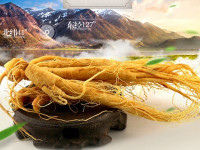 批发新鲜人参 长白山特产人参泡酒煲汤人参 东北特产人参一件代发图3