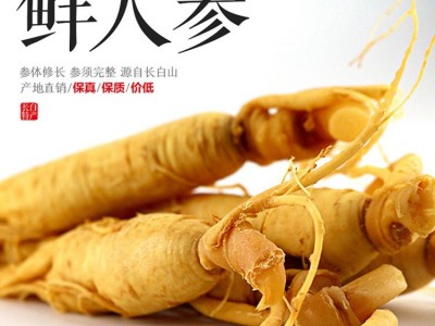 批发新鲜人参 长白山特产人参泡酒煲汤人参 东北特产人参一件代发图1