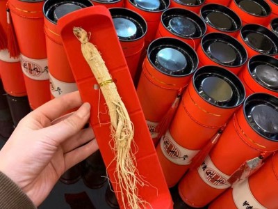 长白山人参礼盒装送人佳品送礼品供应链一手货源厂家直销极速发货图1