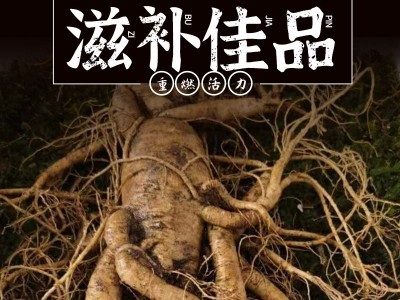 厂家批发东北特产长白山人参量大从优新鲜带土鲜人参泡酒煲汤人参图1