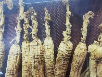 长白山人参东北特产5-8年林下参籽货透明礼盒泡酒料图2