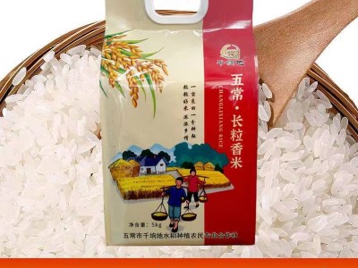 厂家新米上市现磨软糯香甜东北五常长粒香大米黑龙江特产现货批发图2