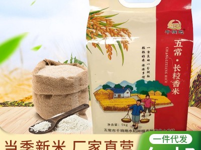 厂家新米上市现磨软糯香甜东北五常长粒香大米黑龙江特产现货批发图1