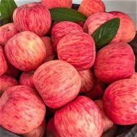 山东富士苹果新鲜脆甜冰糖心苹果应季水果