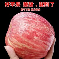 洛川苹果供应链 一件代发 美域高苹果 净重8.5斤大果