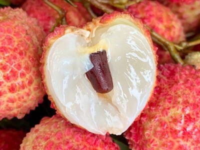 一件代发 灵山桂味荔枝清甜多汁老树荔枝当季新鲜水果荔枝批发图4