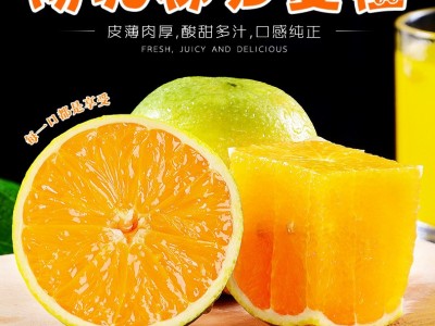 新鲜夏橙湖北秭归脐橙应季水果产地现摘现发非血橙非赣南一件代发图1