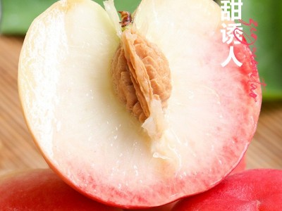 秭归高山脆桃现摘现发应季水果毛桃黄桃水蜜桃冬桃果园直发4.5斤图1