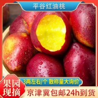 黄桃黄金油桃平谷新鲜水果整斤批发应季红油桃2两/个脆甜黄油桃子