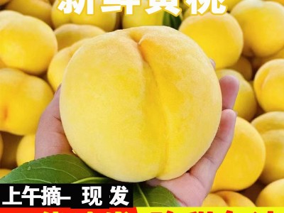 现摘现发红毛桃平谷新鲜水果应季黄毛桃批发整斤毛桃小果3左右/个图2