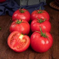 普罗旺斯西红柿新鲜自然熟番茄水果沙瓤蔬菜顺丰整箱批发一件代发